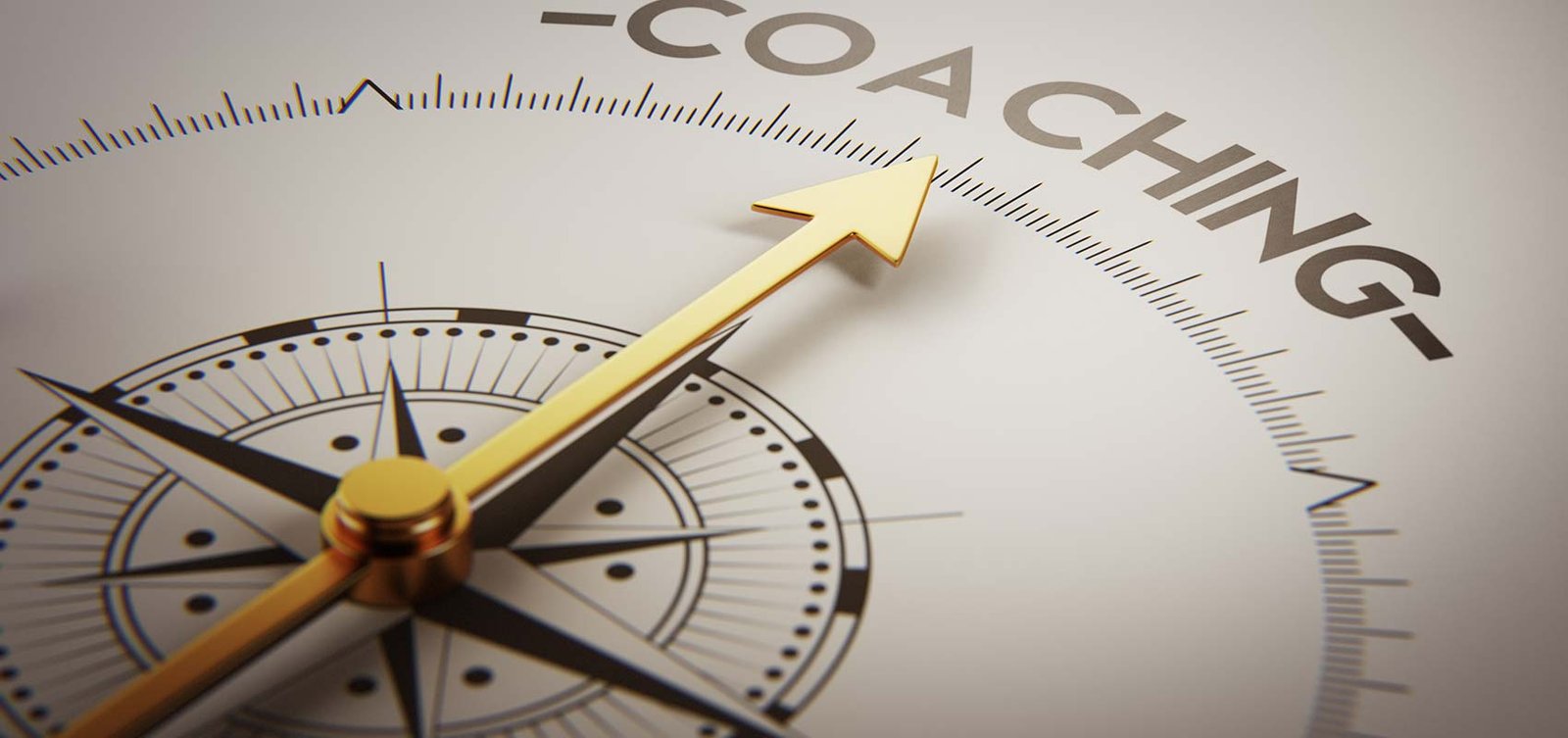 Executive Coaching
